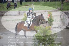 ref. photo 3083131