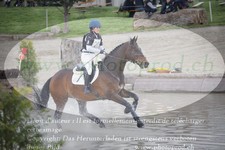 ref. photo 3083132