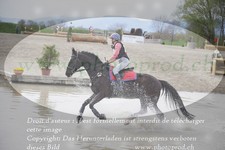 ref. photo 3083172