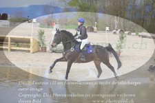 ref. photo 3083178