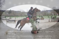 ref. photo 3083223