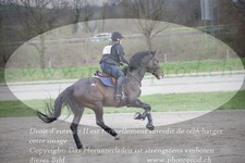 ref. photo 3083244