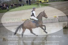 ref. photo 3083294