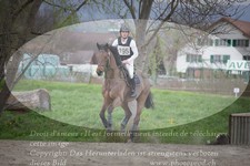 ref. photo 3083311