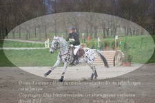 ref. photo 3083376