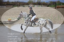 ref. photo 3083381