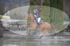 ref. photo 3083407