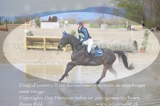 ref. photo 3083426