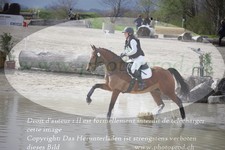 ref. photo 3083502