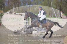 ref. photo 3083520