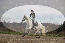 ref. photo 3083544