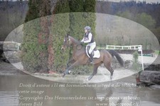 ref. photo 3083605