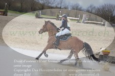 ref. photo 3083654