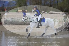 ref. photo 3083694