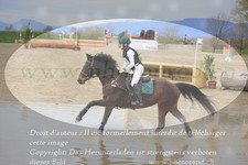 ref. photo 3083707