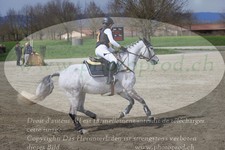 ref. photo 3083726