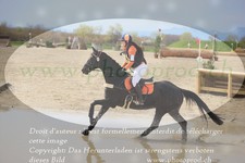ref. photo 3083749