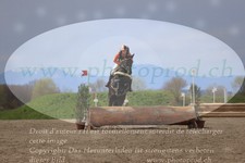 ref. photo 3083753