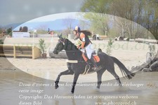 ref. photo 3083758