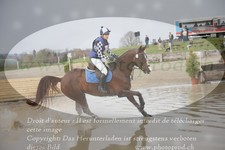 ref. photo 3083789