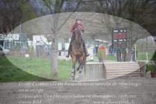 ref. photo 3083796