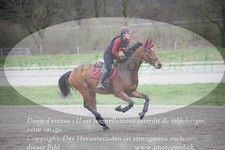 ref. photo 3083802