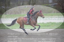ref. photo 3083803