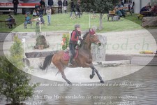 ref. photo 3083810