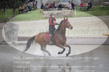 ref. photo 3083811