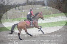 ref. photo 3083813