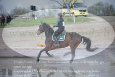 ref. photo 3083835