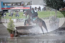 ref. photo 3083836