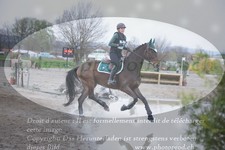 ref. photo 3083840