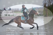 ref. photo 3083843