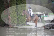 ref. photo 3083864