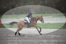 ref. photo 3083881