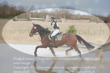 ref. photo 3083923