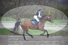 ref. photo 3083934