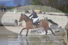 ref. photo 3083970