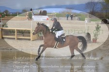 ref. photo 3083971