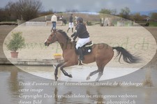 ref. photo 3083973