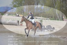 ref. photo 3083979