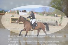 ref. photo 3083980