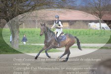 ref. photo 3084006