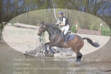 ref. photo 3084008