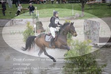 ref. photo 3084032