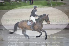 ref. photo 3084034
