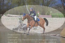 ref. photo 3084045