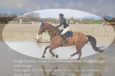 ref. photo 3084047