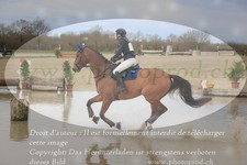 ref. photo 3084048